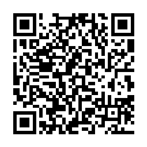 他和时间之主一样……能够在时间停止的领域中自由活动二维码生成