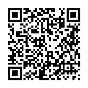 他和星宿海那些老妖怪不清不楚的事圣尊没说什么二维码生成