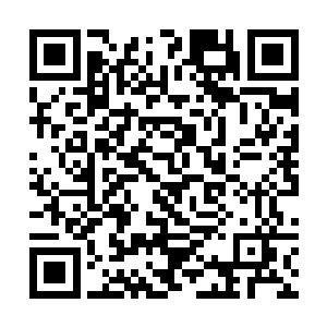 他和盐山族唯一的依仗在人家眼里却根本算不上什么二维码生成