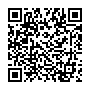 他和秦宇一样对于这些专业的问题发表不出什么意见二维码生成