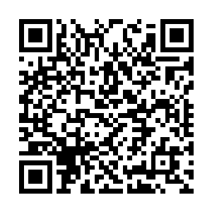 他和老龟都是从我踏入修界以来一直跟着我的存在二维码生成