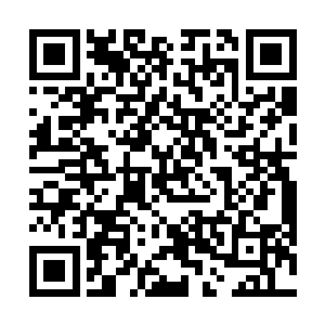 他和自己的几个手下站在三台机甲撑起来的防护盾之中二维码生成