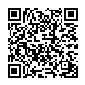 他和轩辕家的老不死地从年轻的时候一直斗到现在二维码生成