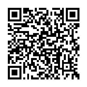 他和雨果的每一次脱口秀合作总是如此时间飞逝二维码生成