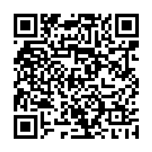 他和青索便化为一紫一青两道光芒消失在剑尘体内二维码生成