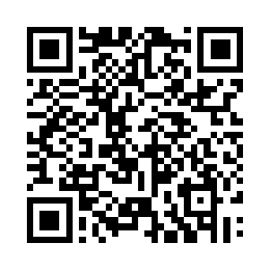 他和饱受折磨的张嘉树老师大眼瞪小眼二维码生成