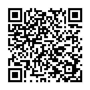 他和高歌是我太行宗新一代弟子中的两大顶尖灵体二维码生成