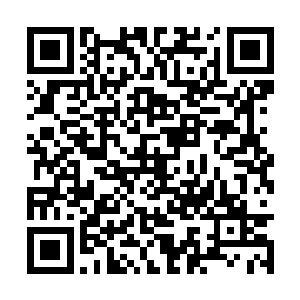 他和魁天的举动都被余下的圣级修士看得清清楚楚二维码生成