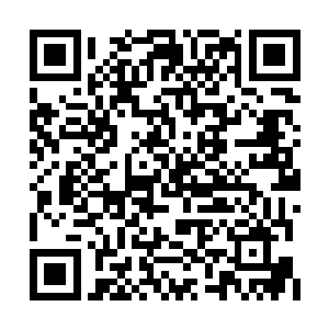 他哪里看不出其他几大霸主已经有了合适的人选二维码生成