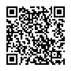 他唯恐杨开说什么要王主大人自陨在这里之类的话二维码生成