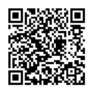 他回想起老虎朝他扑过来的那一刻――那一刻死亡离他那样近二维码生成