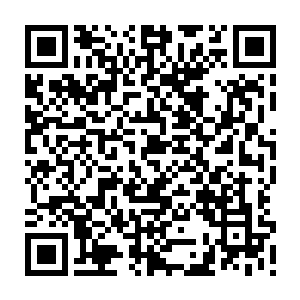 他因为不想浪费两大高手爆出来的东西而将两大高手的尸体带走的一个小举动二维码生成