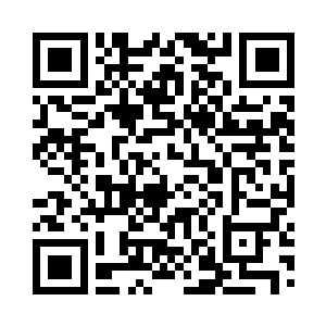 他在中国的国家级期刊上发表的论文不老少二维码生成