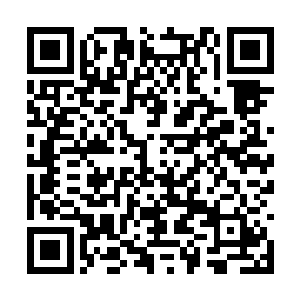 他在为了生存的条件下吸食了那个魔族弟子的血脉二维码生成