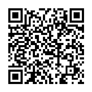 他在会试能排进前十全靠阿九提前告诉他的几个关键词二维码生成
