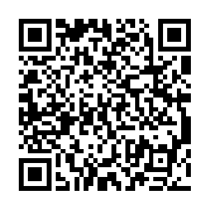 他在军营里已经把何晏那王八蛋的祖宗十八代都给骂了一遍二维码生成