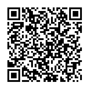 他在呐喊 丹田躁动 气海翻腾 造化青莲疯狂的摇曳 罕见的出现了一丝变化二维码生成