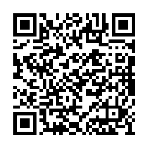 他在品赏了一会自己炼制的第一枚上品丹药之后二维码生成