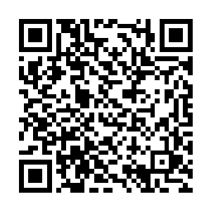 他在圣光城给费南的候鸟议会寄出最后一封信之后二维码生成