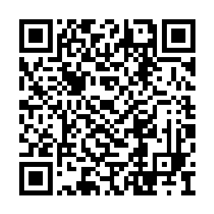 他在少女身旁看到了那个本应该死去多时的马文二维码生成