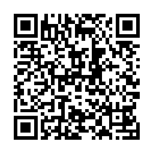 他在思考着自己是不是该去夹河市武装部去弄点枪支弹药二维码生成