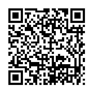 他在想当初在国教学院大榕树上与陈长生的那番对话二维码生成