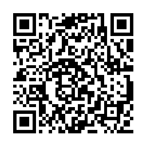 他在极夜城探索这位深红大巫师的实验室的时候二维码生成