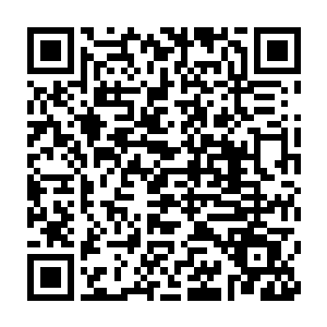 他在沙州市公安局门口用新买的摩托罗拉手机给给大哥卫国打了电话二维码生成
