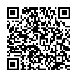 他在警察署长按下那个按钮之后就已经清楚的知道发生了什么二维码生成