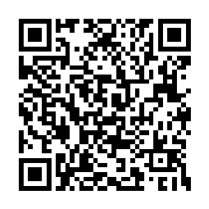 他在超神学院的时候跟贝元青可是用过兵器打过二维码生成