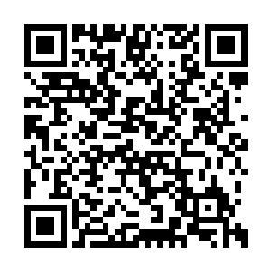 他在这三万年来帅军支援过很多次风云关的大战二维码生成