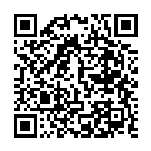 他在这之前也是反对自己将这个项目给罗东秋那伙纨绔的二维码生成