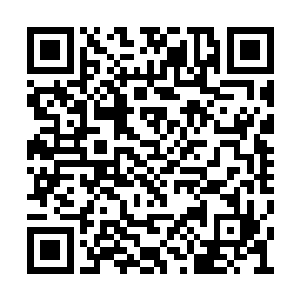 他在这千钧一发之际终于阻挡住了钟子期的行为二维码生成