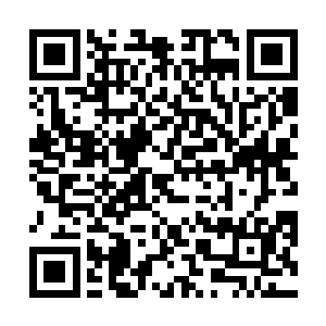 他在这种杀戮状态下的反应和本能战斗水准非常非常高二维码生成