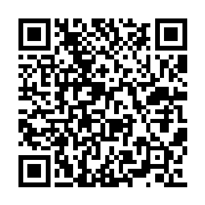 他在魔家老祖的空间戒指里发现了不少上品神晶二维码生成