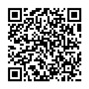 他在1992年与另一只地下摇滚乐队洞穴乐队的主唱康妮一拉芙二维码生成