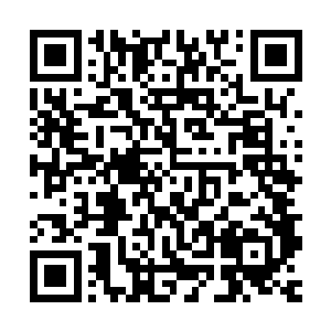 他场上的两只强力怪兽也像是拍苍蝇一样轻而易举地就把那两只二维码生成