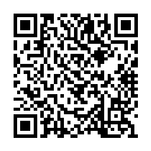 他基本上已经对小星君的脾性有了个简单的了解二维码生成