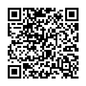 他堂堂圣仙境的修罗追杀这两个蝼蚁一般的存在二维码生成