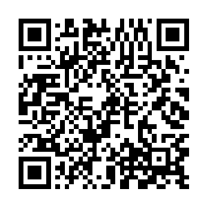 他夏云杰可是连冯文博老教授都要尊称一声掌门师叔二维码生成