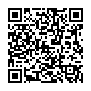 他多么希望自己只是老头子从垃圾堆里捡回来的啊二维码生成