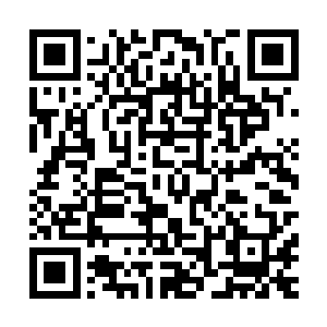 他大概是九域头一个被搜魂之后还能活下来保持神智的修士了二维码生成
