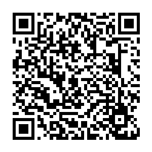 他头一回知道自己族人吃了好几百年的鳄鱼皮子居然能卖一个很好的价格二维码生成