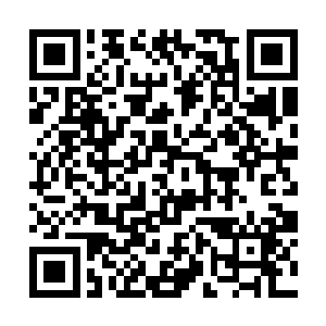 他头上竟然还别着自己前几天摘花给特蕾莎编的头饰二维码生成