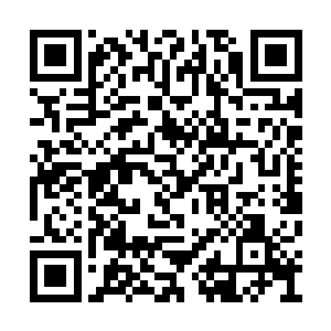 他好不容易和修罗家族高手们的气息形成了感应二维码生成