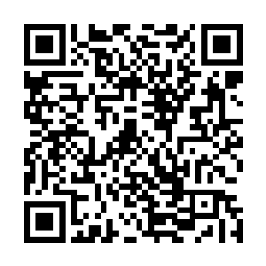 他好不容易将东方家主逼到这种境界虽然心中有一些不甘心二维码生成