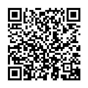 他好不容易才把那不知从何而来的霸道能量全部转换为生命能量二维码生成