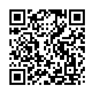 他好像在画雷霆荡魔诛邪之类的符箓二维码生成