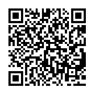 他好像曾经在地府当中的碑林中看到过关于这种甲壳虫的记载二维码生成