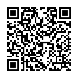 他好像还是第一次遇到具有传说中古老骑士风度的血族二维码生成